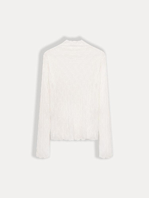 Водолазка (2790V)